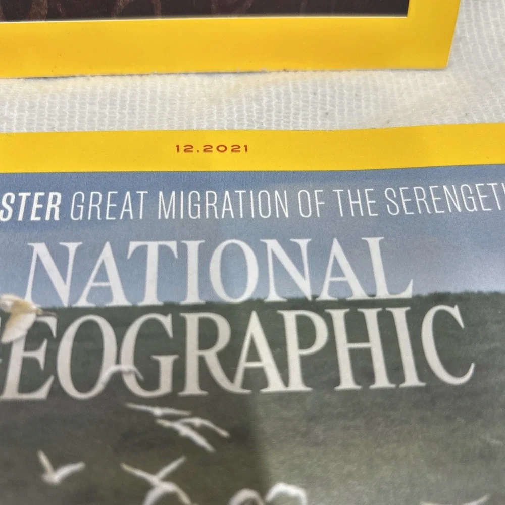 National Geographic Lot Of 4 Magazines 1/17 Gender Revolution 8/19, 11/21, 12/21